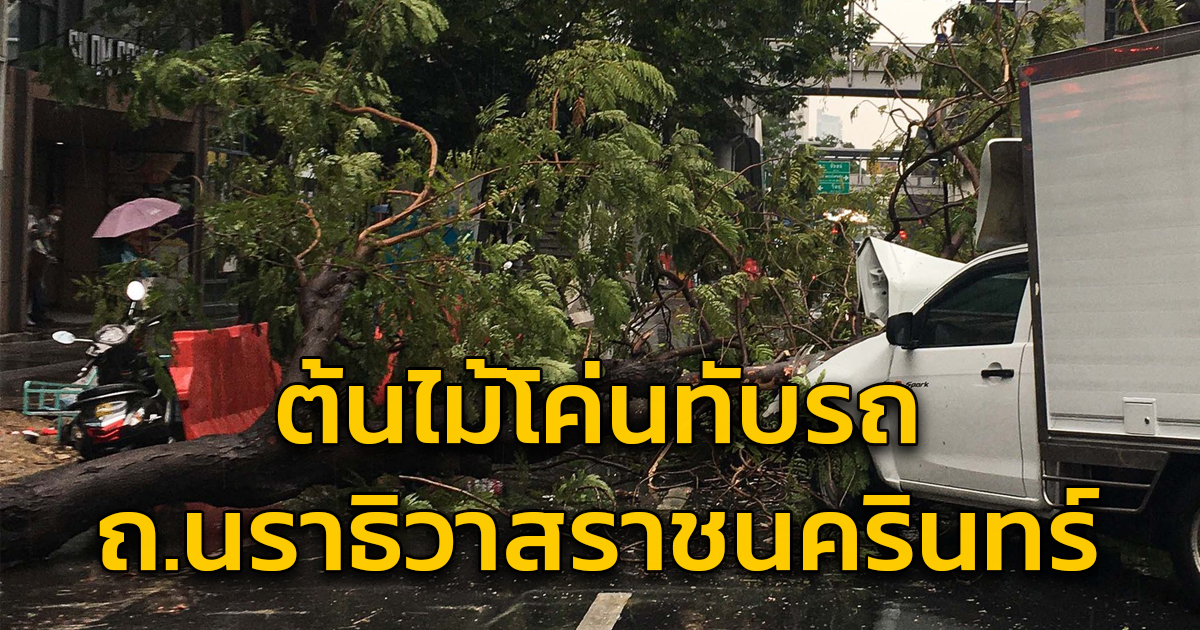 ต้นไม้ล้มทับรถยนต์ ถนนนราธิวาสราชนครินทร์ การจราจรติดขัด