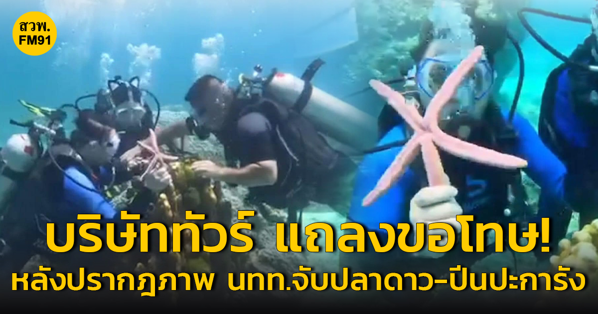 บริษัททัวร์ออกมาแถลงขอโทษ! หลังปรากฎภาพ นักท่องเที่ยวจับปลาดาว-ปีนปะการังโผล่ในสื่อ