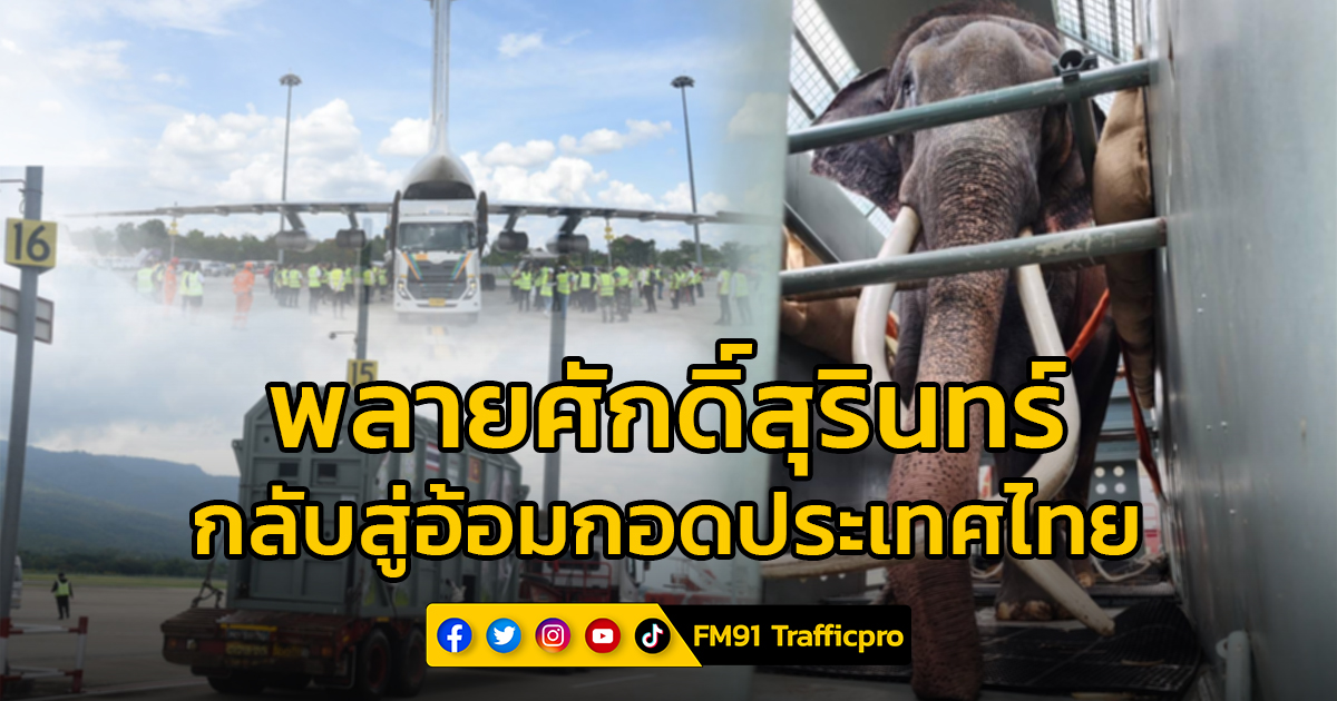 เปิดไทม์ไลน์ บรรยากาศการเคลื่อนย้าย “ช้างไทย" พลายศักดิ์สุรินทร์ ทูตสันถวไมตรี กลับสู่อ้อมกอดประเทศไทย