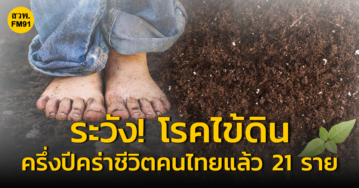 ระวัง! โรคไข้ดิน (โรคเมลิออยโดสิส) เป็นโรคติดเชื้อแบคทีเรีย ครึ่งปีคร่าชีวิตคนไทยแล้ว 21 ราย