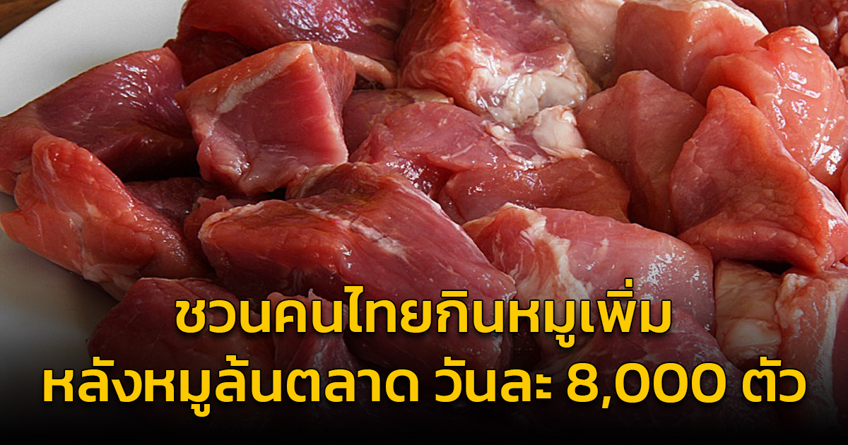 กรมการค้าภายใน ชวนคนไทยกินหมู หลังหมูล้นตลาดส่วนเกินกว่า 8 พันตัว