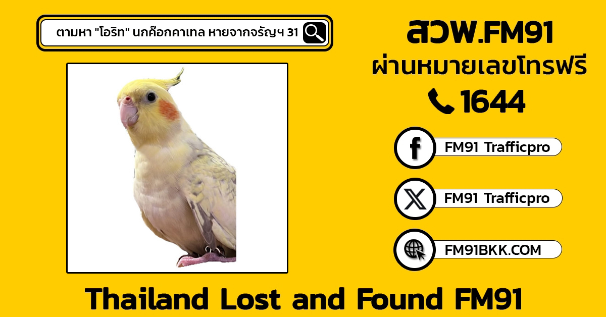 ตามหา "โอริท" นกค๊อกคาเทล หายจากจรัญฯ 31