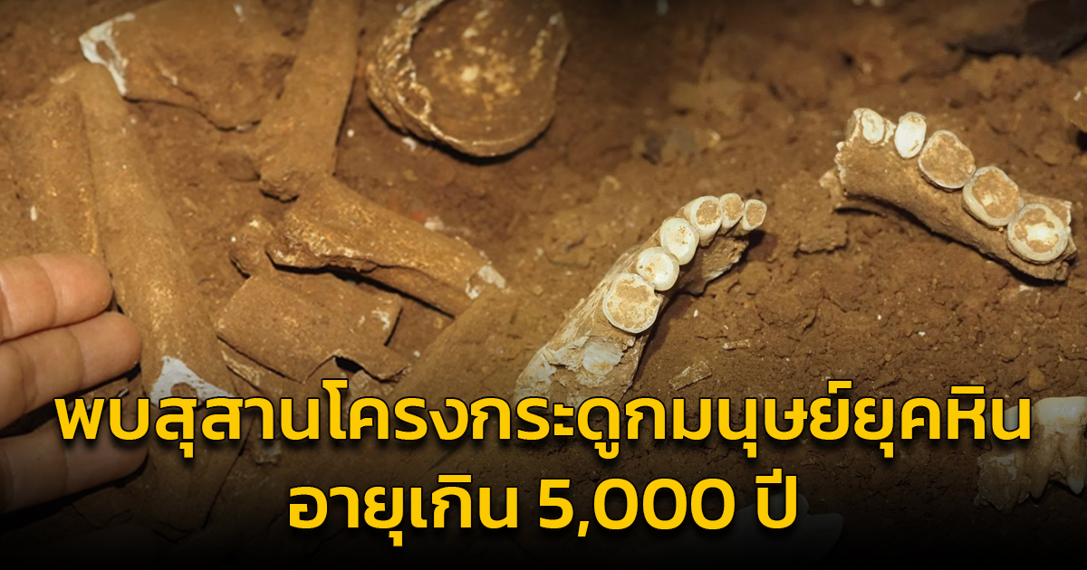พบสุสานโครงกระดูกมนุษย์ยุคหิน อายุเกิน 5,000 ปี “ถ้ำเขาค้อม” จ.สตูล