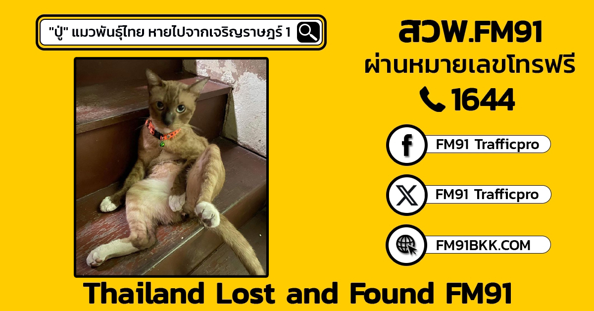 "ปู่" แมวพันธุ์ไทย หายไปจากเจริญราษฎร์ 1