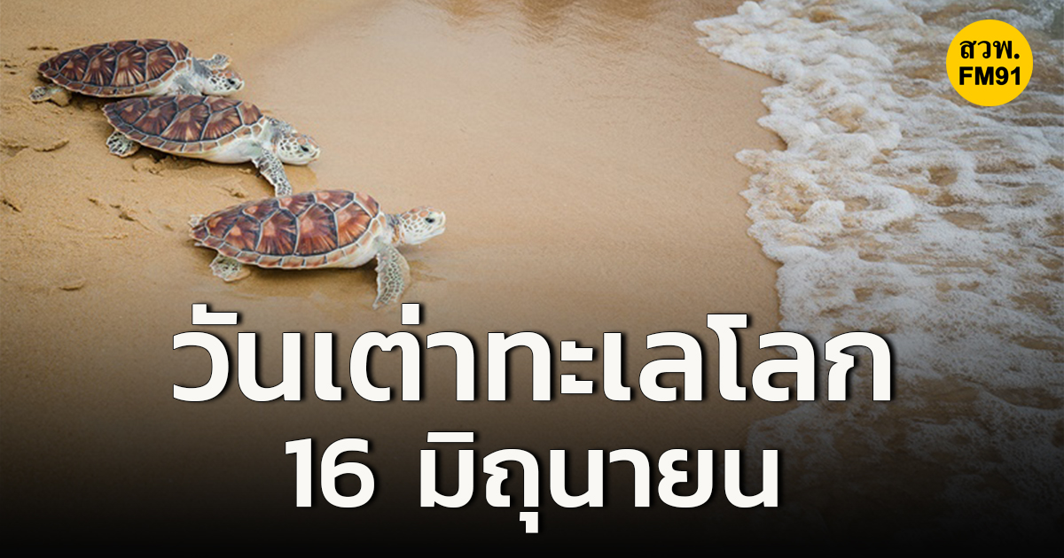 16 มิถุนายน วันเต่าทะเลโลก (World Sea Turtle Day)