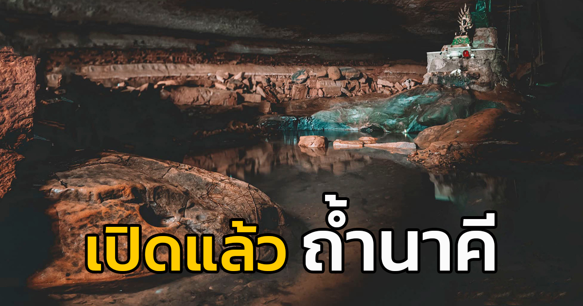 'ถ้ำนาคี' อุทยานแห่งชาติภูลังกา เปิดรับนักท่องเที่ยว 1 กรกฎาคมนี้ หลังปิดฟื้นฟูธรรมชาติร่วมเดือน