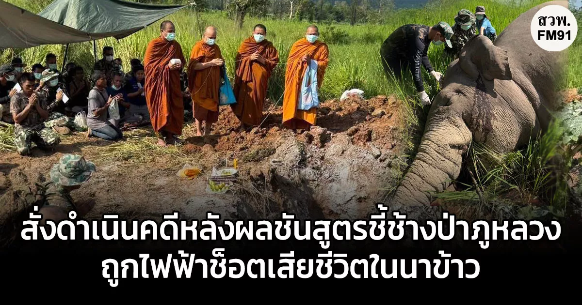 รมว.สุชาติ สั่งดำเนินคดีหลังผลชันสูตรชี้ช้างป่าภูหลวงถูกไฟฟ้าช็อตเสียชีวิตในนาข้าว​ ย้ำ! ห่วงทั้งคนและช้างเหตุกระแสไฟอันตรายถึงชีวิต