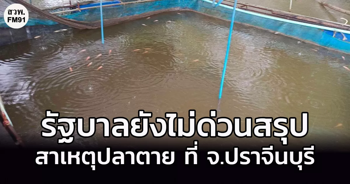 รัฐบาลยังไม่ด่วนสรุป สาเหตุปลาตาย ที่ จ.ปราจีนบุรี เร่งตรวจสอบอะลูมิเนียมในน้ำ
