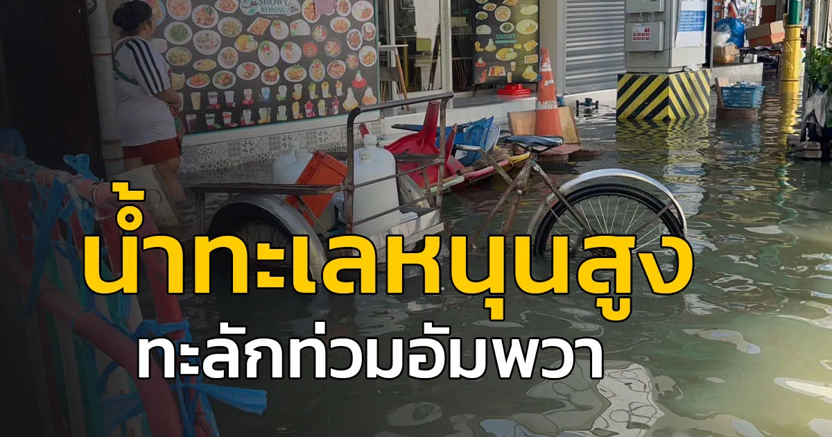 น้ำทะเลหนุนสูง ทะลักท่วมตลาดน้ำอัมพวา ชาวบ้านเดือดร้อนหนัก เผยอยู่มา 60 ปี ไม่เคยเจอน้ำสูงขนาดนี้ ระดับน้ำขึ้นถึงชั้นบนของบ้าน เตือนเฝ้าระวังต่อเนื่อง
