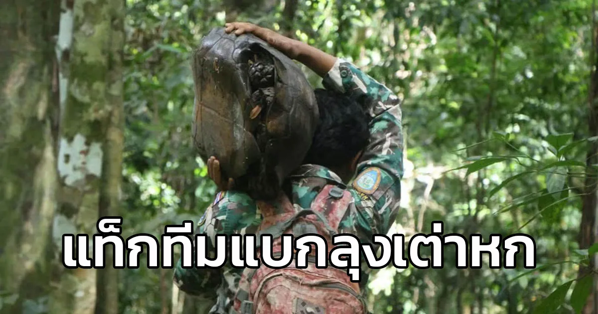 เจ้าหน้าที่อุทยานแห่งชาติศรีพังงา แท็กทีมแบก “ลุงเต่าหก” หนักกว่า 20 กก. หลงเข้าชุมชนส่งกลับป่าลึกปลอดภัย